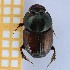  ( - EBLA_BC829)  @11 [ ] Unspecified (default): All Rights Reserved  Unspecified Unspecified