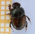  ( - EBLA_BC830)  @11 [ ] Unspecified (default): All Rights Reserved  Unspecified Unspecified