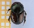  ( - EBLA_BC831)  @11 [ ] Unspecified (default): All Rights Reserved  Unspecified Unspecified