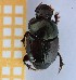  ( - EBLA_BC833)  @11 [ ] Unspecified (default): All Rights Reserved  Unspecified Unspecified