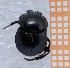  ( - EBLA_BC836)  @11 [ ] Unspecified (default): All Rights Reserved  Unspecified Unspecified