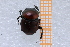  ( - EBLA_BC849)  @11 [ ] Unspecified (default): All Rights Reserved  Unspecified Unspecified