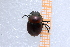  ( - EBLA_BC850)  @11 [ ] Unspecified (default): All Rights Reserved  Unspecified Unspecified