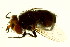 ( - BIOUG00691-F09)  @12 [ ] CreativeCommons - Attribution (2011) CBG Photography Group Centre for Biodiversity Genomics