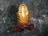  ( - PSCA041)  @13 [ ] CreativeCommons - Attribution (2010) Unspecified Centre for Biodiversity Genomics