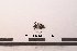 ( - PASSIFOR-NM13-006)  @12 [ ] Copyright (2014) Nicolas Moulin Nicolas Moulin Entomologiste