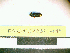  ( - PASSIFOR-NM13-046)  @12 [ ] Copyright (2014) Nicolas Moulin Nicolas Moulin Entomologiste