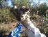 ( - CMIPLS200)  @11 [ ] Unspecified (default): All Rights Reserved  Soledad Albanese IADIZA