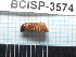  ( - SG-2013-20)  @11 [ ] CreativeCommons - Attribution Non-Commercial Share-Alike (2014) Sofia Gripenberg Oxford University