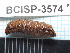  ( - SG-2013-20)  @11 [ ] CreativeCommons - Attribution Non-Commercial Share-Alike (2014) Sofia Gripenberg Oxford University