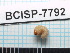  ( - SG-2013-177)  @11 [ ] CreativeCommons - Attribution Non-Commercial Share-Alike (2014) Sofia Gripenberg Oxford University