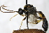  ( - PSPP-0026)  @11 [ ] CreativeCommons - Attribution Non-Commercial Share-Alike (2014) Olli-Pekka Tikkanen University of Eastern Finland