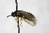  ( - PSPP-0046)  @12 [ ] CreativeCommons - Attribution Non-Commercial Share-Alike (2014) Olli-Pekka Tikkanen University of Eastern Finland