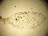  ( - PSYKO25)  @12 [ ] CreativeCommons - Attribution Non-Commercial Share-Alike (2019) Jerome Albre University of Corsica