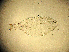  ( - PSYKO20)  @12 [ ] CreativeCommons - Attribution Non-Commercial Share-Alike (2019) Jerome Albre University of Corsica