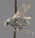  ( - CNC487145)  @12 [ ] No Rights Reserved (2016) Unspecified CNC
