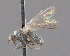  ( - CNC487151)  @12 [ ] No Rights Reserved (2016) Unspecified CNC
