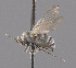  ( - CNC487152)  @13 [ ] No Rights Reserved (2016) Unspecified CNC