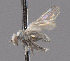  ( - CNC487162)  @12 [ ] No Rights Reserved (2016) Unspecified CNC