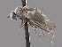  ( - CNC487184)  @12 [ ] No Rights Reserved (2016) Unspecified CNC