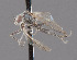  ( - CNC487190)  @11 [ ] No Rights Reserved (2016) Unspecified CNC