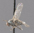  ( - CNC487191)  @11 [ ] No Rights Reserved (2016) Unspecified CNC
