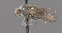 ( - CNC487193)  @11 [ ] No Rights Reserved (2016) Unspecified CNC