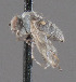  ( - CNC487200)  @11 [ ] No Rights Reserved (2016) Unspecified CNC