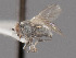 ( - CNC487201)  @11 [ ] No Rights Reserved (2016) Unspecified CNC