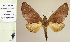  ( - BC-PTh1215)  @13 [ ] Copyright (2015) Philippe Collet Research Collection of Philippe Collet