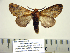  ( - BC-PTh0961)  @12 [ ] Copyright (2011) Paul Thiaucourt Research Collection of Paul Thiaucourt