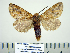  ( - BC-PTh0995)  @12 [ ] Copyright (2011) Paul Thiaucourt Research Collection of Paul Thiaucourt