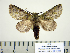  ( - BC-PTh0996)  @13 [ ] Copyright (2011) Paul Thiaucourt Research Collection of Paul Thiaucourt