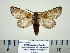  ( - BC-PTh0999)  @13 [ ] Copyright (2011) Paul Thiaucourt Research Collection of Paul Thiaucourt