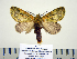  ( - BC-PTh1001)  @13 [ ] Copyright (2011) Paul Thiaucourt Research Collection of Paul Thiaucourt