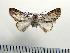  ( - BC-PTh1010)  @13 [ ] Copyright (2011) Paul Thiaucourt Research Collection of Paul Thiaucourt