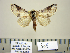  ( - BC-PTh1017)  @12 [ ] Copyright (2011) Paul Thiaucourt Research Collection of Paul Thiaucourt