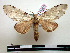 ( - BC-Pth0819)  @13 [ ] Copyright (2010) Unspecified Research Collection of Paul Thiaucourt