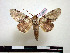  ( - BC-Pth0830)  @12 [ ] Copyright (2010) Unspecified Research Collection of Paul Thiaucourt