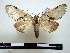  ( - BC-Pth0831)  @11 [ ] Copyright (2010) Unspecified Research Collection of Paul Thiaucourt