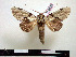  ( - BC-Pth0832)  @12 [ ] Copyright (2010) Unspecified Research Collection of Paul Thiaucourt
