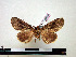  ( - BC-Pth0839)  @13 [ ] Copyright (2010) Unspecified Research Collection of Paul Thiaucourt