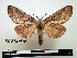  ( - BC-Pth0840)  @13 [ ] Copyright (2010) Unspecified Research Collection of Paul Thiaucourt
