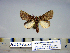  ( - Bb6-6-10 B2840-64)  @13 [ ] Copyright (2010) Unspecified Research Collection of Paul Thiaucourt