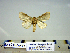  ( - Bb6-6-10 B2840-64)  @13 [ ] Copyright (2010) Unspecified Research Collection of Paul Thiaucourt