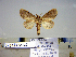  ( - Bb6-6b-10 B2840-65)  @13 [ ] Copyright (2010) Unspecified Research Collection of Paul Thiaucourt