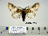  ( - Ad17-8-7 B2840-70)  @14 [ ] Copyright (2010) Unspecified Research Collection of Paul Thiaucourt