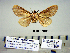  ( - Bb8-3-8 B2840-74)  @13 [ ] Copyright (2010) Unspecified Research Collection of Paul Thiaucourt