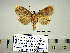  ( - Af15-6-7 B2840-77)  @13 [ ] Copyright (2010) Unspecified Research Collection of Paul Thiaucourt