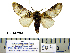  ( - Ad16-8-8 B2840-84)  @14 [ ] Copyright (2010) Unspecified Research Collection of Paul Thiaucourt